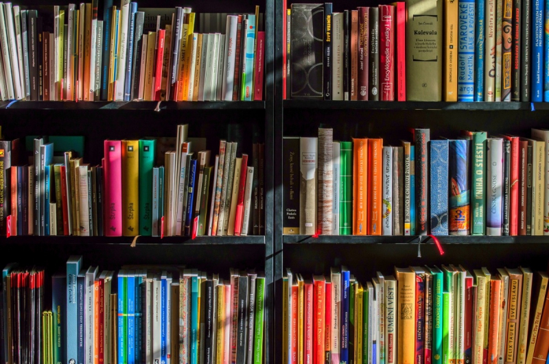 magasin-LA ROQUE ESCLAPON-min_books_bookstore_book_reading_shop_writer_sale_books_read-822866